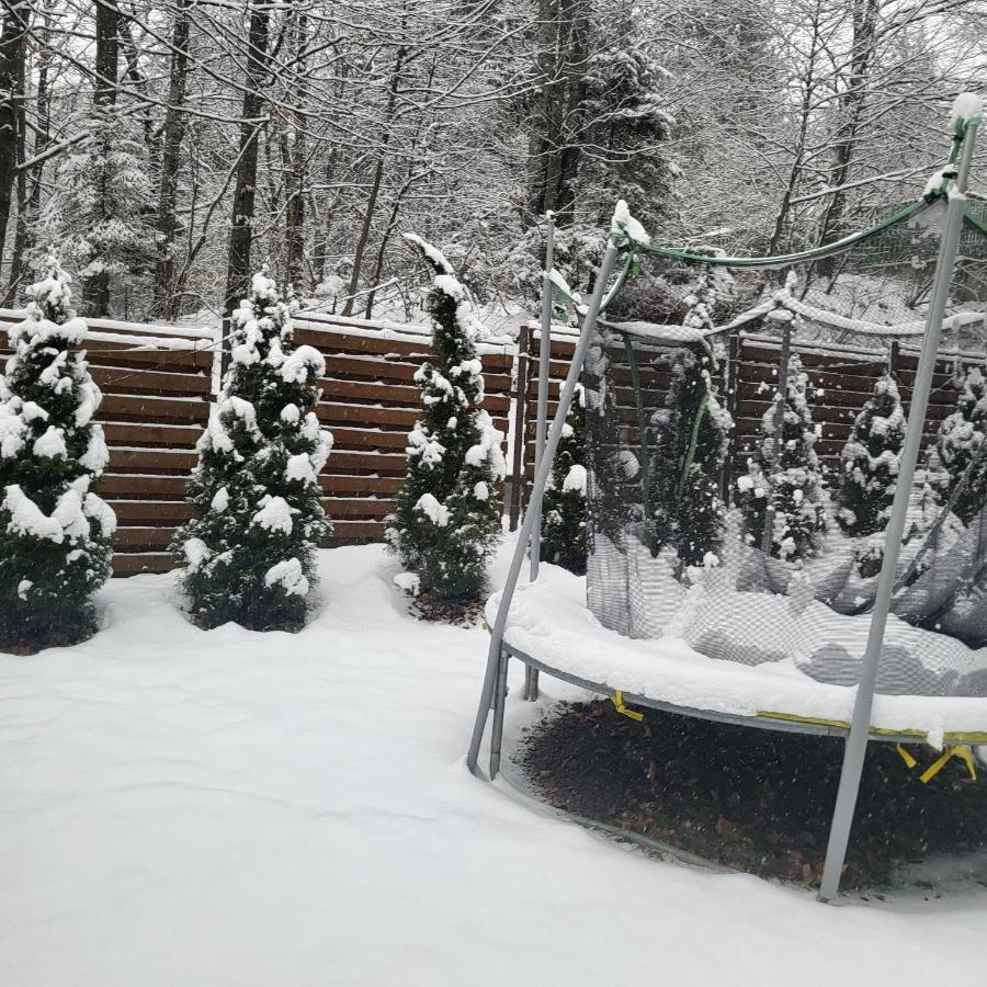Villa Quad Poiana Brasov Extérieur photo